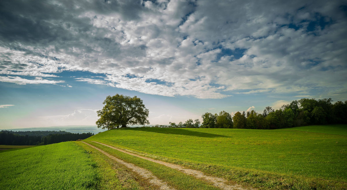 Nachhaltigkeit bei Hinder Asset Management